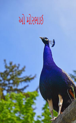 ઓ મોરભાઈ