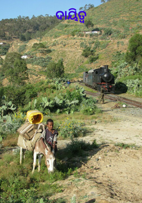 ଦାୟିତ୍ୱ