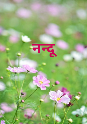 नन्दू