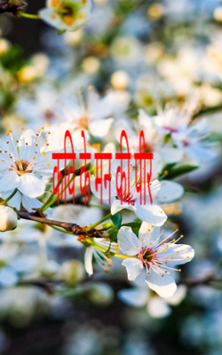 कवि के मन की पीर