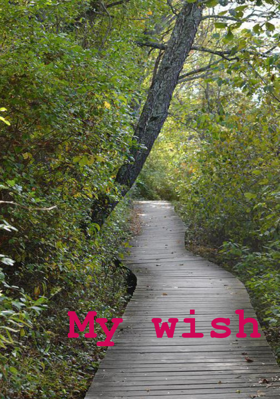 My Wish
