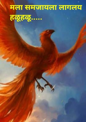 मला समजायला लागलंय हळूहळू.....