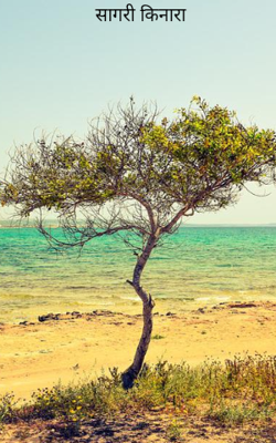 सागरी किनारा 