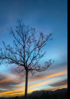 କବିଟିଏ ହେବି