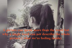 A picture can speak more than the word but why a single word can not describe the whole picture ( what we're feeling inside) 