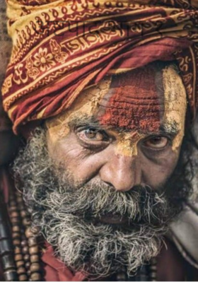 अष्टपाद भाग १