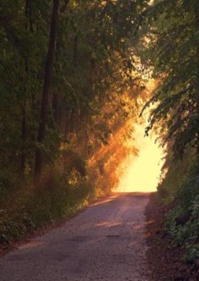 ती वाट ( सहाक्षरी )