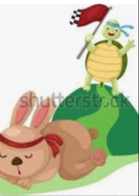 ससा आणि कासव