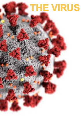 The Virus