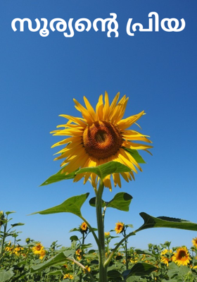 സൂര്യൻ്റെ പ്രിയ