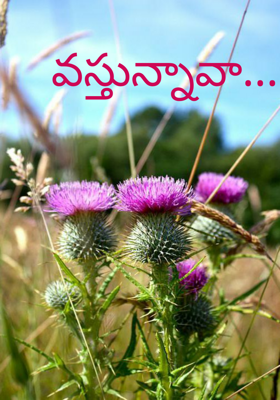 వస్తున్నావా...