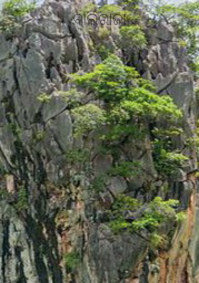 ବାଲିରାଜା