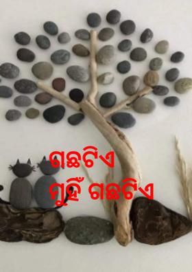 ଗଛଟିଏ ମୁହିଁ ଗଛଟିଏ