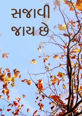 સજાવી જાય છે