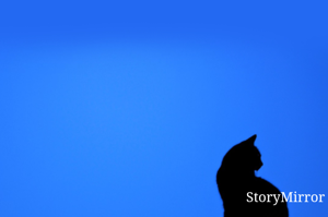 ನಂದಾದೀಪ

ಹೆಣ್ಣು ಒಂದು ಮನೆಯಲ್ಲಿ ಹುಟ್ಟಿದರೆ
ಮತ್ತೊಂದು ಮನೆಯ ಬೆಳಗುವವಳು
ಹೆತ್ತವರ ಸಂಕಟಕ್ಕೆ ಮರುಗುವಳು
ಮೆಟ್ಟಿದ ಮನೆಗೆ ನೆರವಾಗುವವಳು

ಯಾರೇನೇ ಅಂದರೂ ಸಹಿಸಿಕೊಂಡು
 ಎಲ್ಲರ ಬೇಕು ಬೇಡಗಳ ಪೂರೈಸುವವಳು
ಹೊತ್ತು - ಹೆತ್ತವಳು ಕಂದನಿಗೊಂದು 
ಹೊಸ ಬದುಕು ಕಟ್ಟಿಕೊಡುವವಳು

ಬಯಕೆಗಳ ಮನಸೊಳಗೆ ಬಚ್ಚಿಟ್ಟು
ಕುಟುಂಬದ ಸುಖವನ್ನು ಹಾರೈಸುವವಳು 
 ನೋಯಿಸಿದವರನ್ನು ಪ್ರೀತಿಸುವ ಕ್ಷಮಯ ಧರಿತ್ರಿಯವಳು  
ಅಂಧಕಾರವ ಸರಿಸಿ ಮನಸೊಳಗೆ ನಂದಾದೀಪ‌ ಹಚ್ಚಿದವಳು

✍️ ಅಮ್ಮು ರತನ್ ಶೆಟ್ಟಿ