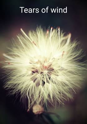 Tears of wind