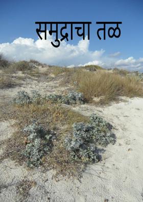 समुद्राचा तळ