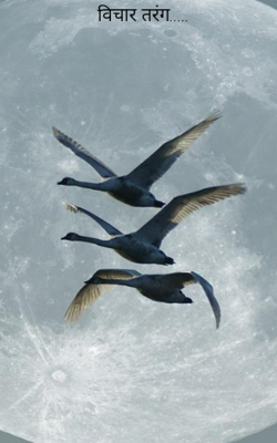 विचार तरंग.....