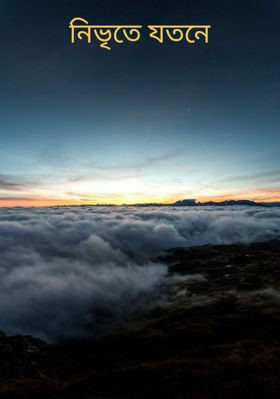নিভৃতে যতনে