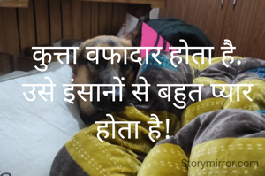 कुत्ता वफादार होता है.
उसे इंसानों से बहुत प्यार होता है! 