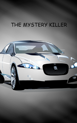 THE MYSTERY KILLER