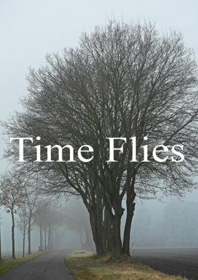 Time Flies
