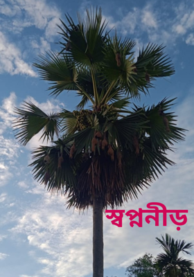 স্বপ্ননীড়