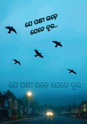 ଯେ ପକ୍ଷୀ ଉଡ଼େ ଯେତେ ଦୂର 