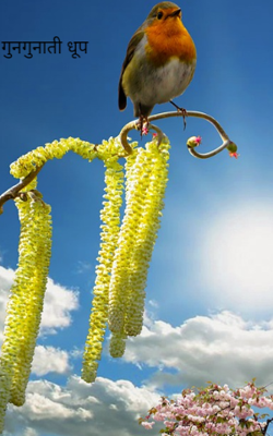 गुनगुनाती धूप