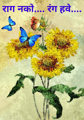 राग नको.... रंग हवे....