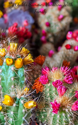 My Child's Summer Vacation With Family