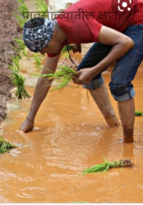 पावसाळ्यातील क्षण.