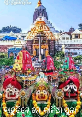 ବାହୁଡି଼ବେ ମୋ କାଳିଆ ସୁନା