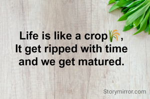 Life is like a crop🌾,
It get ripped with time
and we get matured.