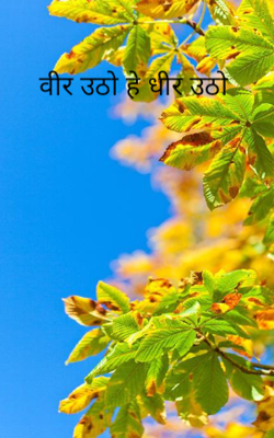 वीर उठो हे धीर उठो