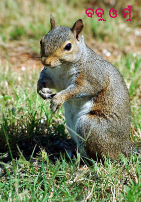 ବବ୍ଲୁ ଓ ମୁଁ