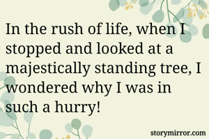 In the rush of life, when I stopped and looked at a majestically standing tree, I wondered why I was in such a hurry!