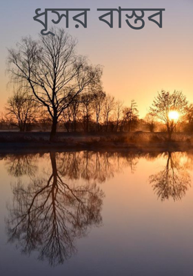 ধূসর বাস্তব