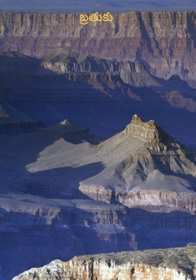 బ్రతుకు