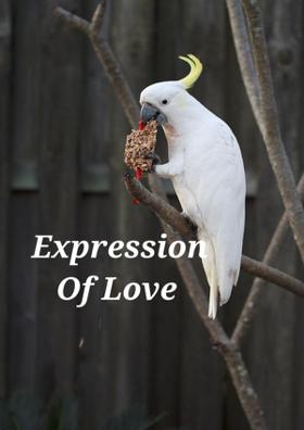 Expression Of Love