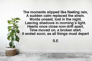 The moments slipped like fleeting rain,
A sudden calm replaced the strain.
Words unsaid, lost in the night,
Leaving shadows in morning’s light.
Hearts once close now drift apart,
Time moved on, a broken start.
It ended soon, as all things must depart

S.E