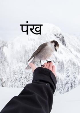 पंख