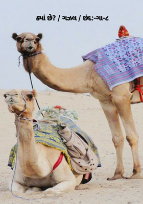 ક્યાં છે ?