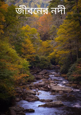 জীবনের নদী
