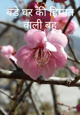 बड़े घर की हिम्मत वाली बहू