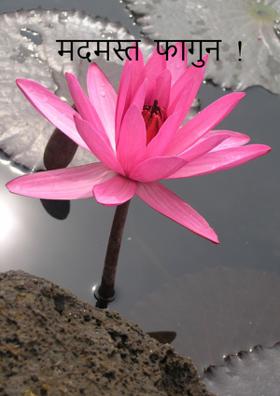 मदमस्त  फागुन  !