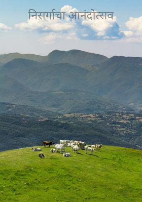 निसर्गाचा आनंदोत्सव