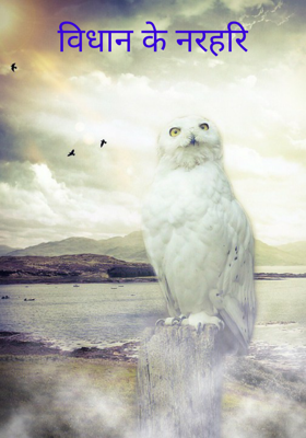 विधान के नरहरि