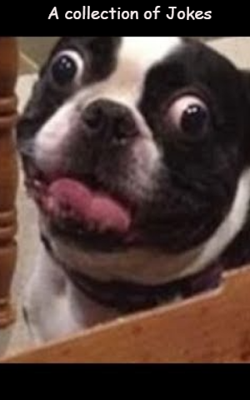 A Collection Of Jokes