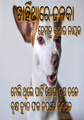 ଚାହିଁଥାରେ ଜଳକା